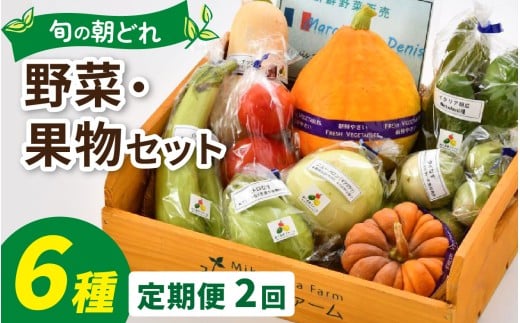 朝どれ 旬な野菜 果物セット 6種類セット【2回定期便】【お届け対象月 5月,8月,11月】/ 農薬・化学肥料不使用