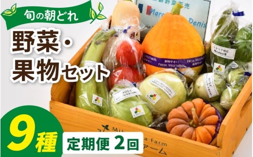 朝どれ 旬な野菜 果物セット9種類セット【2回定期便】【お届け対象月 5月,8月,11月】/ 農薬・化学肥料不使用