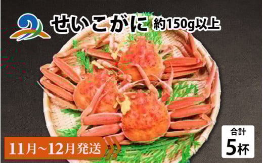 【先行予約】せいこがに 約150g以上×5杯【11月～12月発送】