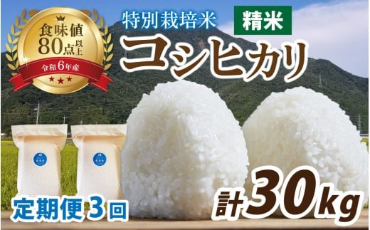 【3ヶ月連続お届け】【令和7年産】南条米 新米 特別栽培米コシヒカリ 精米 真空パック 10kg(5kg×2袋)×3ヶ月 (計30kg)｜ お米の定期便