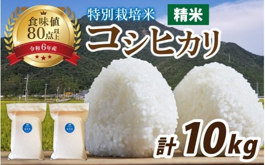 【令和7年産】南条米 新米 特別栽培米コシヒカリ 真空パック 精米 10kg(5kg×2袋)