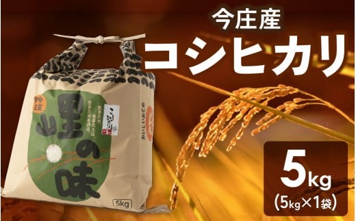【令和7年産】朝夕の寒暖差が生む極旨のお米 今庄産 コシヒカリ 5kg  こしひかり 福井 北陸 おこめ