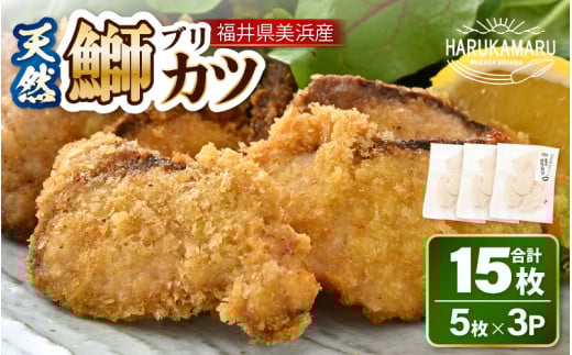 天然！美浜町産「日向ぶり」 ぶりカツ 約450g（約150g × 3袋）【ブランド ぶり ブリ 鰤 海鮮 海産物 魚介類 ブリカツ カツレツ 人気 惣菜 おかず おつまみ 国産 福井 冷凍 揚げ物 フライ 簡単調理】 [m36-a009]