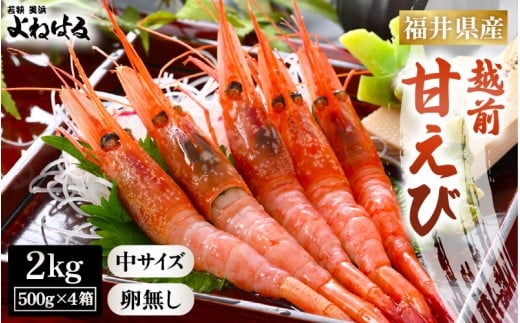大好評！天然 越前甘えび（卵なし）中サイズ計2kg（500g × 4箱）（合計約140尾入り）解凍方法説明書付き 船内凍結 酸化防止剤不使用！ 甘えび本来の味をお楽しみください 【えび エビ 海老 甘エビ 甘えび 海鮮 お刺身 魚介 おせち 無添加 冷凍 福井県産】[m17-d009]