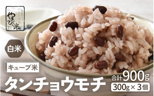 もち米 令和7年産 キューブ米 タンチョウモチ 2合 × 3個 計900g 真空パック 新庄やまびこ米（白米） [m23-a010]