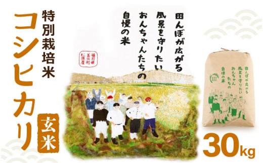 【先行予約】令和7年産 松原おんちゃん米 特別栽培米 コシヒカリ（玄米）30kg × 1袋【2025年9月中旬以降順次発送予定】【福井県産 お米 ブランド米 玄米 精米 ご飯 おにぎり お弁当 和食】[m26-e001]