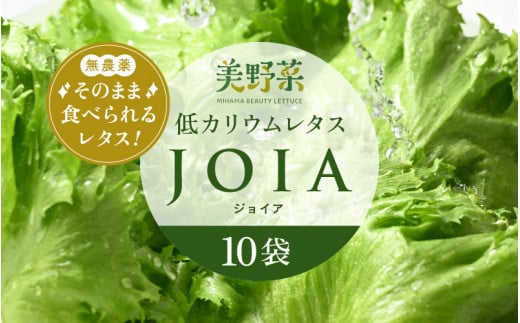 低カリウムレタス 美野菜 「JOIA」 10袋 クリーンルーム栽培 鮮度長持ち 【野菜 生野菜 レタス サラダ お弁当 水耕栽培 洗わず食べられる 時短 付け合わせ】[m40-a010]