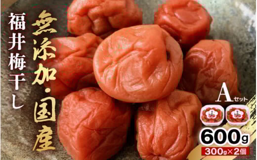 福井 梅干し Aセット（300g × 2個）【梅干 梅 うめ ウメ 無添加 しそ しそ梅 人気 敬老の日 ギフト プレゼント】[m20-a007]