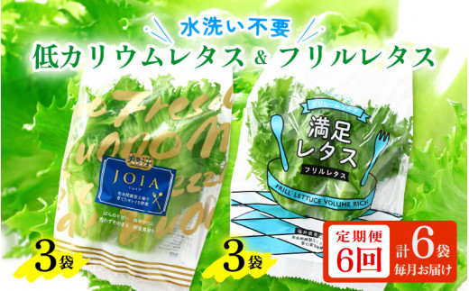 定期便 ≪6ヶ月連続お届け≫ 低カリウムレタス&フリルレタス　計6個セット 全6回 【福井県美浜町産】【野菜 生野菜 レタス サラダ サンドイッチ お弁当 水耕栽培 洗わず食べられる 時短 付け合わせ ダイエット ヘルシー】[m40-c001]
