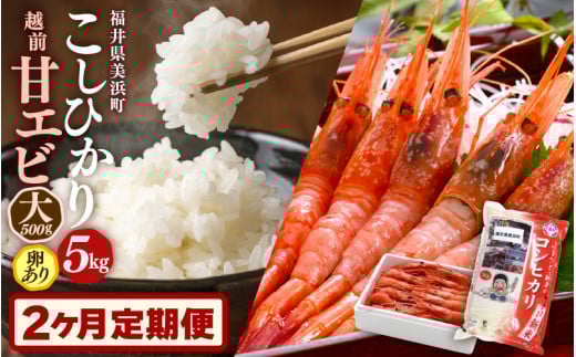 定期便≪2ヶ月連続お届け≫ 米 令和5年産 コシヒカリ5kg ＆ 越前甘エビ(卵あり)大サイズ 約500g × 1箱 (約30尾入り) 【精米】【福井県美浜町産米】【船内凍結】[m60-a009]