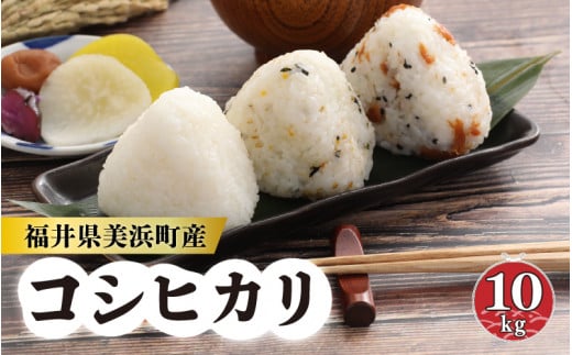 【先行予約】【令和7年産・新米】長谷川農園の コシヒカリ（白米） 計10kg （5kg × 2袋）【2025年9月下旬以降順次発送予定】[m22-a006]