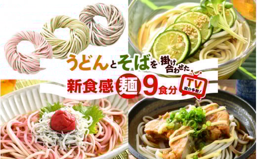 福井県 美浜町産 「DUOヌードル」 9個セット[母の日 父の日 プレゼント お祝い 引き出物 お返し ギフト ハレの日 子供の日 お礼 敬老の日 引越し 七夕 年越し お中元 お歳暮 ][m04-a007]