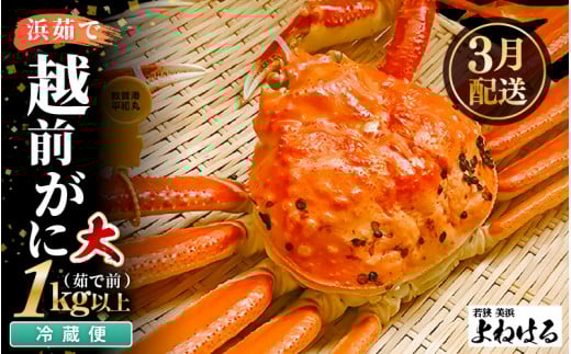 【先行予約】≪浜茹で≫ 天然 越前がに 大サイズ  (生の状態で約1kg) × 1杯 【2026年3月上旬以降順次発送】 冷蔵便 届いてすぐお召し上がりいただけます！ タグ付 福井を代表する冬の味覚 【越前ガニ  越前蟹 かに ずわい ズワイ 福井】[m17-x001_03]