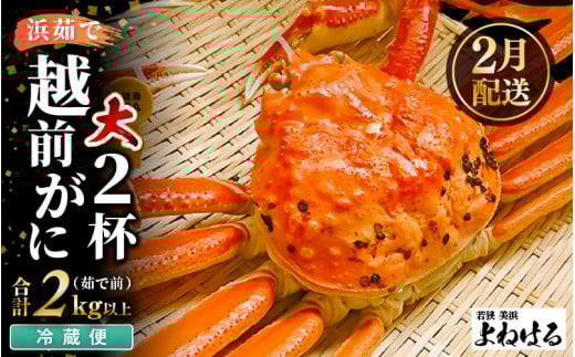 【先行予約】≪浜茹で≫ 天然 越前がに 大サイズ (茹で前約1kg) × 2杯【2026年2月上旬以降順次発送予定】冷蔵便 届いてすぐお召し上がりいただけます！ タグ付 福井を代表する冬の味覚 【越前ガニ  越前蟹 かに ずわい ズワイ 福井】 [m17-x002_02]