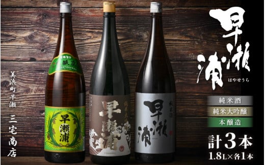 【早瀬浦】純米大吟醸 1800ml ＆ 純米酒 1800ml ＆ 本醸造 1800ml × 各1本ずつ セット【入手困難 飲み比べ 日本酒 地酒 福井 美浜 早瀬 フルーティ 男酒 硬水 ミネラル 希少 ご褒美 家飲み 敬老の日 プレゼント】[m16-g001]