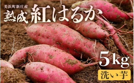 大谷原の熟成さつまいも (5kg 洗い芋) 約25本【入手困難・数量限定】【サツマイモ 芋 イモ 紅はるか べにはるか 熟成 甘い おいしい 焼き芋 国産 産地直送】 [m23-a021]
