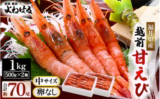 大好評!よねはるお薦めの越前甘えび (卵なし) 中サイズ 計約1kg (約500g × 2箱)でお届けします ! 解凍方法説明書付き 船内凍結 酸化防止剤不使用！甘エビ本来の味をお楽しみください【えび エビ 海老 甘エビ 甘えび 海鮮 お刺身 魚介 おせち 無添加 冷凍 福井県産】 [m17-b011]