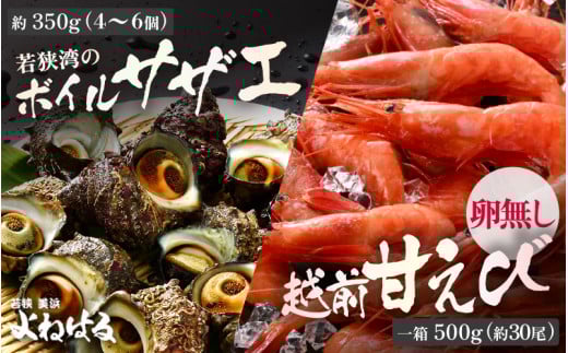 若狭素潜り天然 サザエ (ボイル済) と 越前甘えび卵なし大サイズ【冷凍 ボイル サザエ 甘えび 若狭湾 さざえ】 [m17-b009]