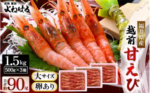 大好評!越前甘えび 1.5kg【大サイズ・卵あり】(500g×3箱お届けします)（合計約90尾入り）解凍方法説明書付き 船内凍結 酸化防止剤不使用！ 甘えび本来の味をお楽しみください 【えび エビ 海老 甘エビ 甘えび 海鮮 お刺身 魚介 おせち 無添加 冷凍 福井県産】[m17-d008]