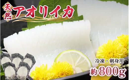 【先行予約】新鮮で便利！旬の 天然 アオリイカ 刺身用 開き 5枚 約800g【2025年10月下旬以降順次発送予定】あおりいか アオリイカ 刺身 お造り 冷凍 いか イカ 海鮮 魚介 冷凍パック 天然いか [m21-a011]