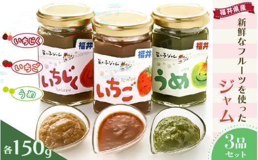 【福井県産】フルーツを使った ジャム 3種セット（梅ジャム 苺ジャム いちじくジャム）[m03-a019]