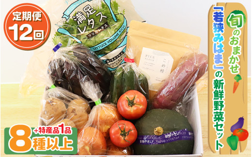 定期便 《12ヶ月連続お届け》旬のおまかせ 「若狭みはま」の新鮮野菜セット 8種以上＋特産品1品 【ふるさと納税 春野菜 夏野菜 秋野菜 冬野菜 定期便 定期 やさい 野菜 セット 詰合せ 大容量 産地直送 旬 新鮮 採れたて おススメ 人気 】 [m80-l001]