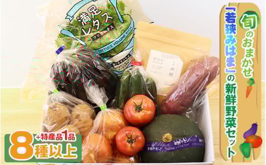 旬のおまかせ 「若狭みはま」の新鮮野菜セット 8種以上＋特産品1品 【ふるさと納税 春野菜 夏野菜 秋野菜 冬野菜  定期便 定期 やさい 野菜 セット 詰合せ 大容量 産地直送 旬 新鮮 採れたて おススメ 人気 】 [m80-a001]