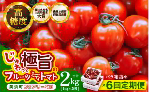 定期便 ≪6ヶ月連続お届け≫じゅわっと極旨のフルーツミディトマト 約1kg (バラ箱詰め) ×２箱【 とまと トマト フルーツトマト ミニトマト トマトジュース 野菜 やさい 人気 新鮮 産地直送 甘い 高糖度 完熟 食べやすい リコピン ビタミン ダイエット 美容 美肌 】 [m37-e002]