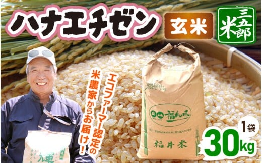 【先行予約】米 令和7年産 ハナエチゼン 30kg（玄米）【2025年9月上旬以降順次発送予定】 [m76-d001]