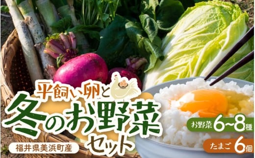 【先行予約】お野菜セット 旬の冬野菜と平飼い卵のお楽しみボックス【2025年12月上旬順次発送予定】【野菜 卵 セット 新鮮野菜 詰め合わせ 農家直送 旬野菜 季節限定 旬の味覚 鍋 平飼い 卵焼き たまご】 [m75-a001]