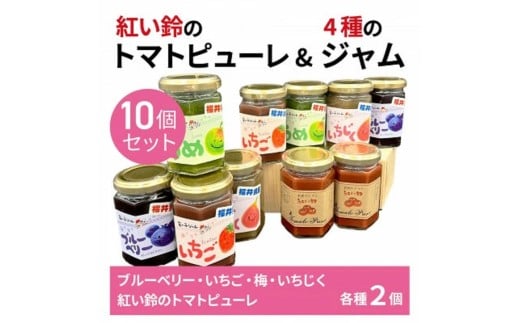 美浜町産 紅い鈴のトマトピューレ&福井県産フルーツのジャム スマイルセット （トマトピューレ 苺ジャム 梅ジャム いちじくジャム ブルーベリージャム 各2個）[m03-b012]