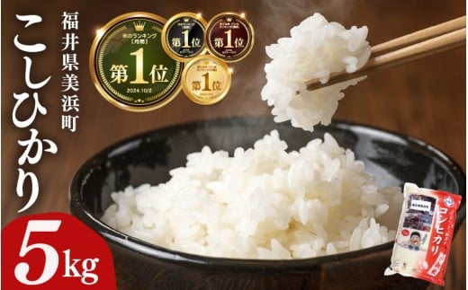 【先行予約】【令和7年産・新米】米 コシヒカリ 5kg × 1袋 精米 福井県美浜町産【2025年11月下旬発送予定】 [m60-a017_11]