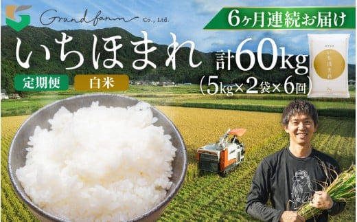 【先行予約】定期便 ≪6ヶ月連続お届け≫ 令和7年産 新米 いちほまれ 白米 10kg (5kg×2袋)【2025年11月上旬以降順次発送予定】精米 福井県 美浜町産 こめ コメ お米 おこめ 5キロ 10キロ おすすめ [m46-o001]