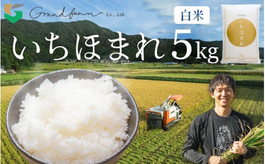【先行予約】令和7年産 新米 いちほまれ 白米 5kg 【2025年11月上旬以降順次発送予定】精米 福井県 美浜町産 こめ コメ お米 おこめ 5キロ 10キロ おすすめ [m46-a001]