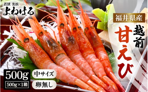 【先行予約】天然！越前甘エビ(卵なし) 中サイズ 500g × 1(約35尾入り) 【2026年1月より順次発送予定】 解凍方法説明書付き 船内凍結 酸化防止剤不使用！甘エビ本来の味をお楽しみください えび エビ 海老 甘エビ 甘えび 人気 海鮮 お刺身 魚介 おせち 無添加 冷凍 福井県産[m17-a057_01]