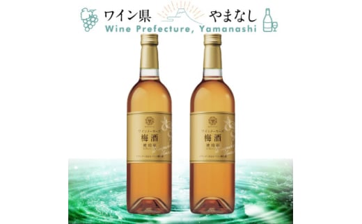 マンズ ワイナリー ワインメーカーズ梅酒 琥珀彩 2本セット【1607396】