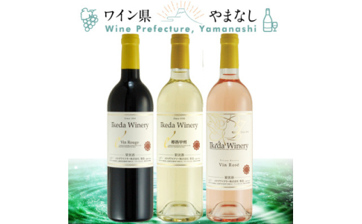 イケダワイナリー 赤&白&ロゼ 3本セット【1607437】