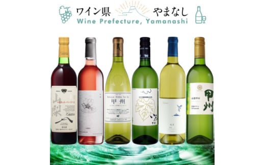 山梨ワイン 注目生産者の定番ワイン 6本セット【1607486】