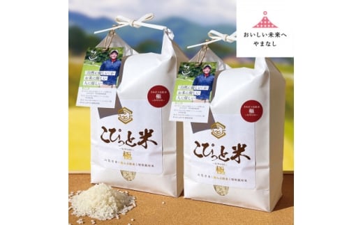 きわだつ大粒!＜令和7年産＞こぴっと米＜極＞白米・4kg　特別栽培米_美味しい 人気 大粒 ごはん 米 白米 山梨県 特別栽培米【1652052】