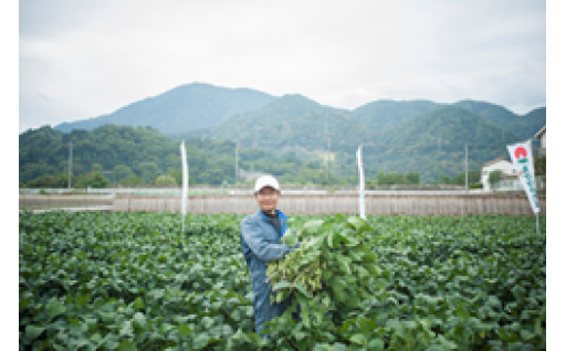 農林産業振興のまちづくり