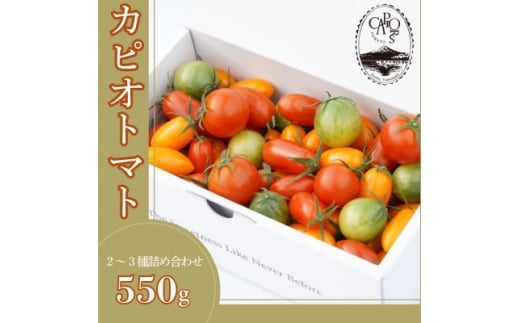 カピオトマトセレクト Mサイズ(おまかせ2～3品種の詰め合わせ550g)【1460248】