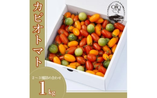 カピオトマトセレクトLサイズ(おまかせ2～3品種の詰め合わせ1kg)【1460268】