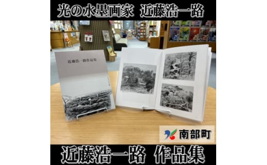 南部町立美術館　常設展図録『近藤浩一路作品集』【1466539】