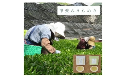 令和7年産＜新茶＞プレミアムリーフティー「甲斐のきらめき」(白鳥・天子)【1588783】