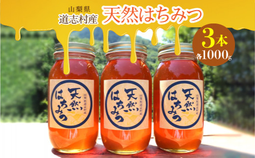 道志村産　天然はちみつ（1000g×3本） ふるさと納税 はちみつ ハチミツ 蜂蜜 ハニー パン 食パン 山梨県 道志村 送料無料 DSD003
