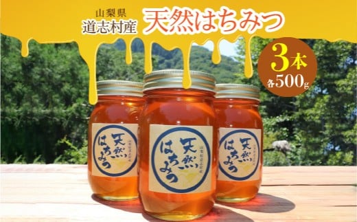 道志村産　天然はちみつ（500g×3本） ふるさと納税 はちみつ ハチミツ 蜂蜜 ハニー パン 食パン 山梨県 道志村 送料無料 DSD002