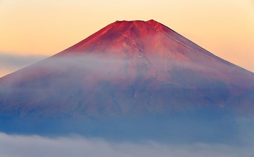 その他村長にお任せ