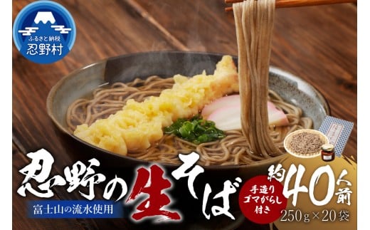 富士山の流水で作る”忍野の生そば”約40人前（250g×20）+ごまがらし1瓶 ※離島へのお届け不可※着日指定送不可