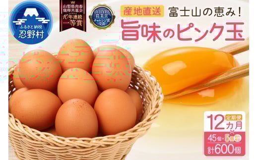 【12ヶ月定期便】”忍野の卵”旨味のピンク玉　※卵45個+割れ保証5個　計600個
