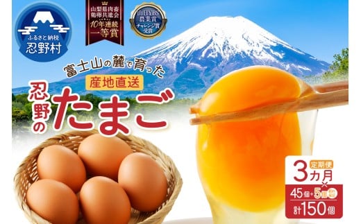 【3ヶ月定期便】富士山の麓で育った産地直送 ”忍野の卵”※卵45個+割れ保証5個　計150個